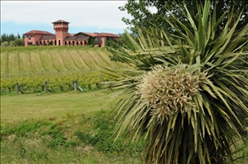 Highfield Estate vinařství